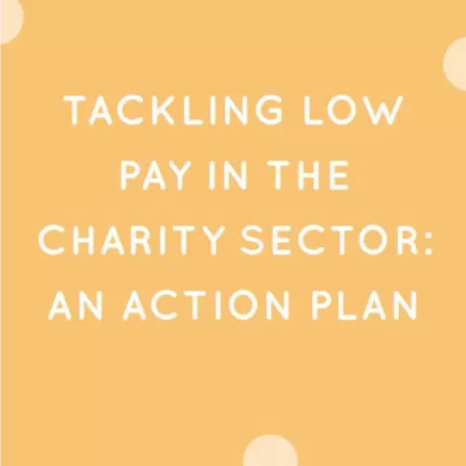 Charity action plan screenshot