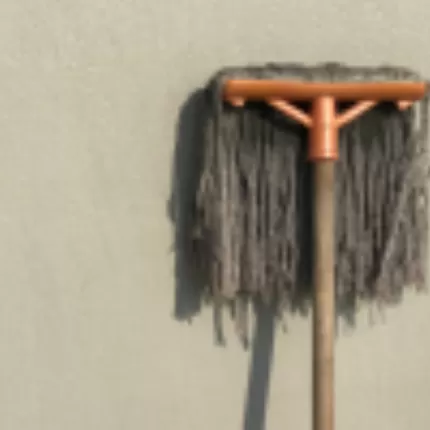 Picture of a mop