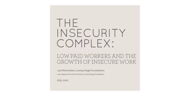 Insecurity complex report cover