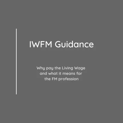 IWFM Guidance document thumbnail