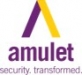Amulet (Churchill Security Solutions) Ltd logo
